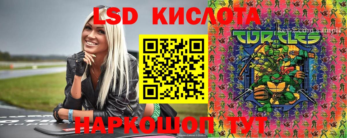 Наркотические марки 1500мкг  Вход с VPN  Славгород 